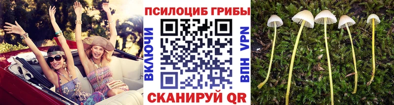 Галлюциногенные грибы Magic Shrooms  Урус-Мартан 