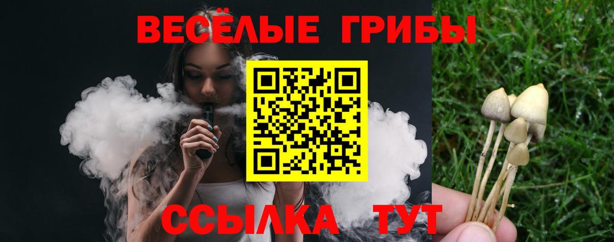 Урус-Мартан  Псилоцибиновые грибы Psilocybine cubensis  Вход с VPN 