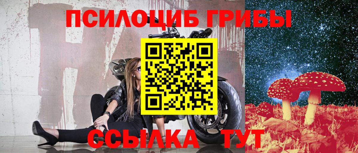 Галлюциногенные грибы Cubensis Урус-Мартан